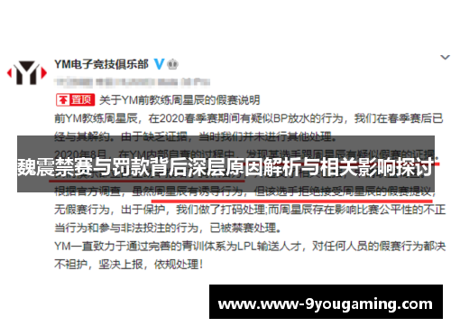 魏震禁赛与罚款背后深层原因解析与相关影响探讨